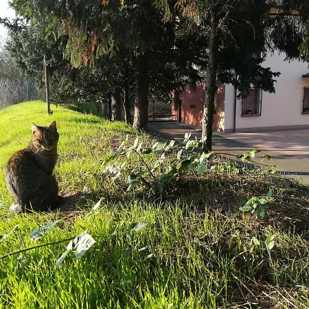 Il Roseto Отель типа 